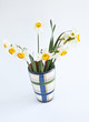 narcissus in vase
