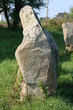Menhir sur le site de Kerzerho à Erdeven (Morbihan, Bretagne)