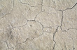 Dry land