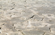 Dry land