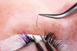 Lashmaker making artificial lashes