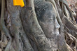 Head of The Sand Stone Buddha Image Head of The Sand Stone Buddha Image