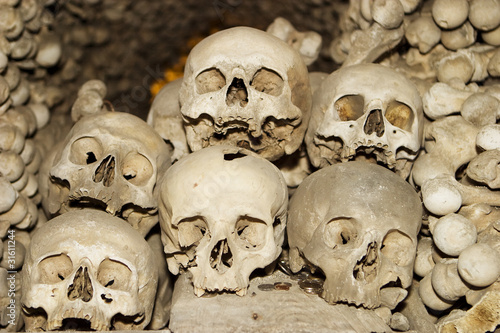 Photo: Six Human Skulls Six Human Skulls