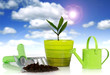 Plant with garden tools. Plant with garden tools.