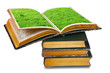 vecchi libri con prato vecchi libri con prato
