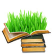 vecchi libri con erba vecchi libri con erba