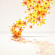 Vector: Floral abstract background. Floral abstract background.