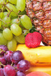 Fruits Fruits