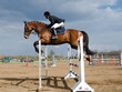 Horse show jump