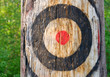 Zielscheibe am Baum - Our Target - Concept