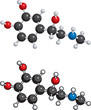 Adrenaline (adrenalin) molecule
