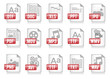 Icon Data Format