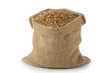 Wheat