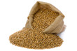 Wheat