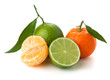 Limes and tangerines Limes and tangerines