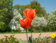 Frühling