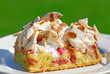 Rhabarberkuchen 158