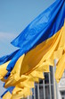 Украинские флаги Украинские флаги