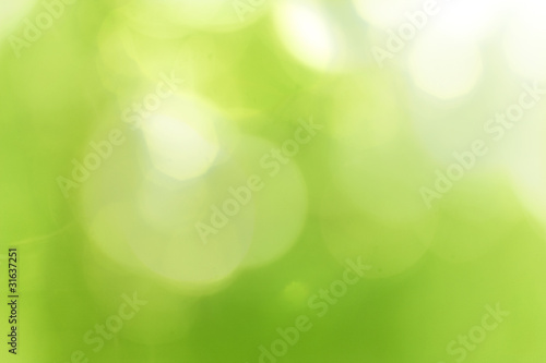 Photo: Green forest bokeh Green forest bokeh