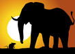 Paysage_Souris_Elephant