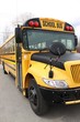 School bus 1