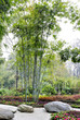 the bamboo groves and courtyard