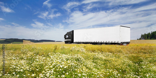 Photo: LKW vor Blumenwiese LKW vor Blumenwiese