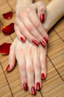 Photo: Beautiful hand with perfect nail red manicure and rose petals. Beautiful hand with perfect nail red manicure and rose petals.