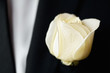 rose on the suit of groom