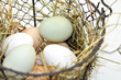 Eier im Korb