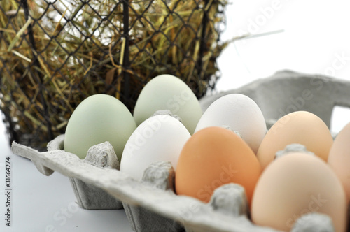 Foto: Frische Bio-Eier Frische Bio-Eier