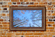 Frame to the nature
