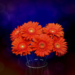 Gerberas in vase on dark background