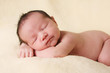 Foto: Baby girl, 10 days old. Baby girl, 10 days old.