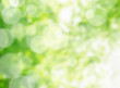 イルミネーション