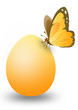 yellow egg with butterfly