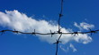 Barbed wire on the blue sky background.