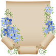 Old scroll. Flower. Forget-me-not