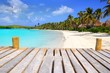 Contoy Island palm treesl caribbean beach Mexico