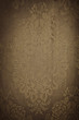 Photo: floral background floral background