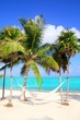 Photos : Caribbean sea with swing hammock turquoise beach