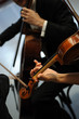 violino