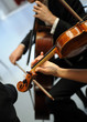 violino