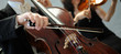 violino