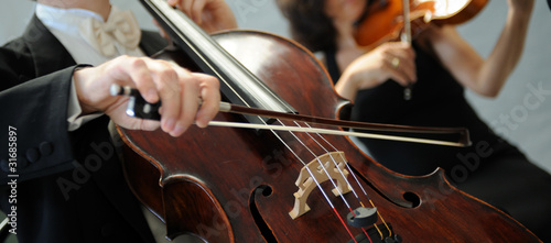 Foto: violino violino