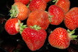 erdbeeren erdbeeren