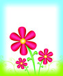 Flower Border