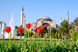 Garden of Hagia Sophia