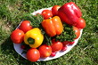 Photo: Fresh diet vegetables on a plate Fresh diet vegetables on a plate