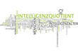 Intelligenzquotient